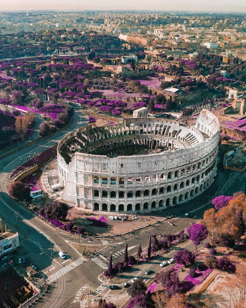 aerial view of the Colosseum_study in italy