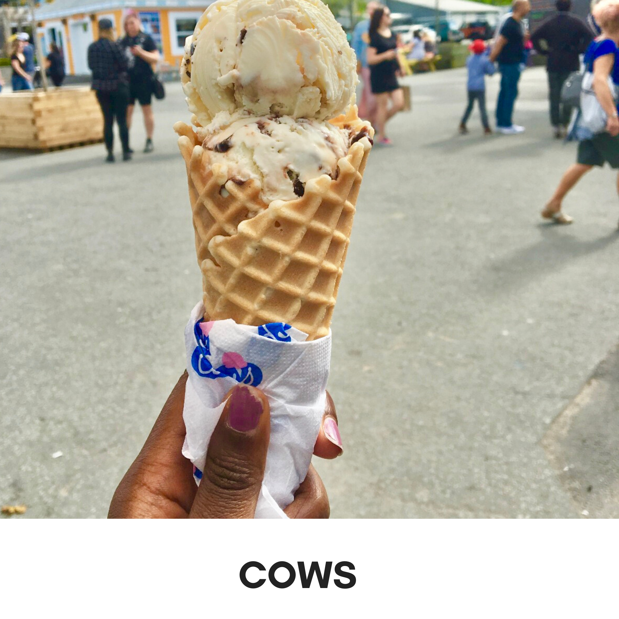 where-to-eat-drink-cows