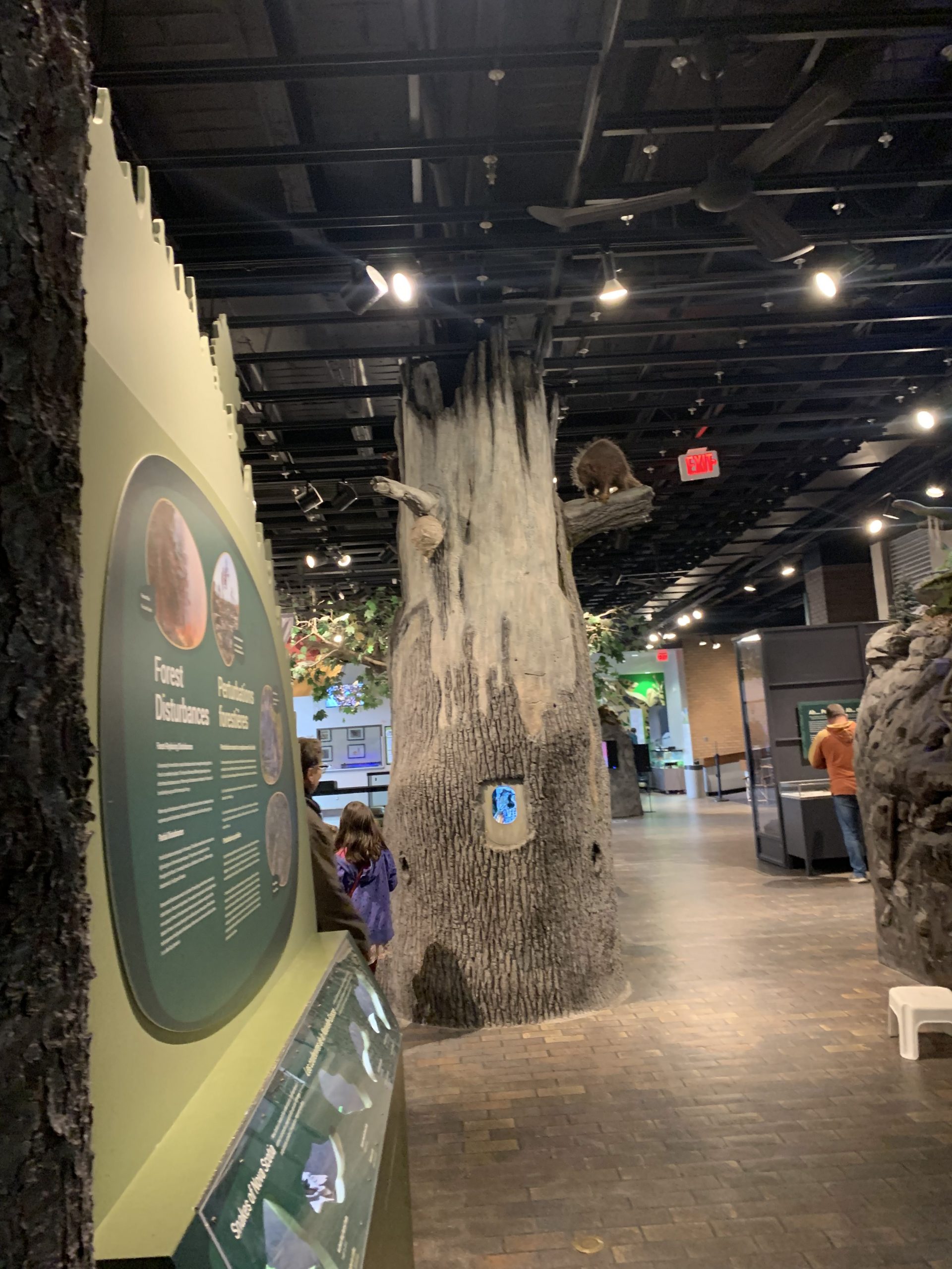 Museum of Natural History